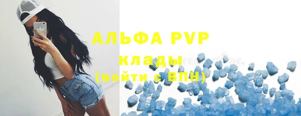 стафф Алзамай