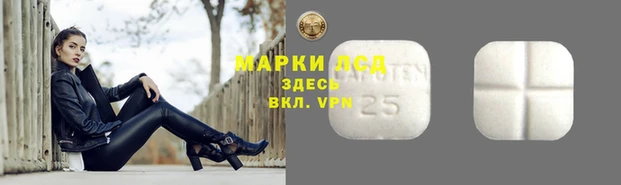 прущие крисы Кукмор