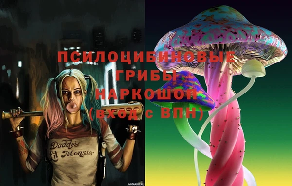 дурь Алексин