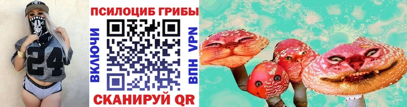 как найти наркотики  Завитинск  Псилоцибиновые грибы Psilocybine cubensis 
