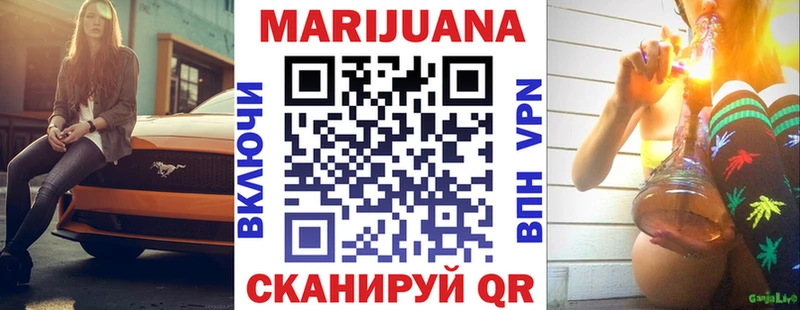 Конопля сатива Завитинск